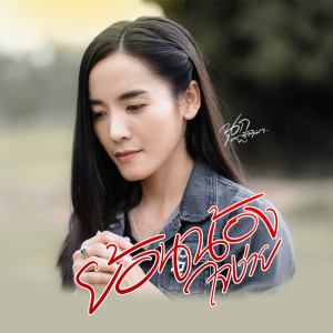 ดาวน์โหลดและฟังเพลง ย้อนน้องใจง่าย พร้อมเนื้อเพลงจาก นุก ฐิติมา