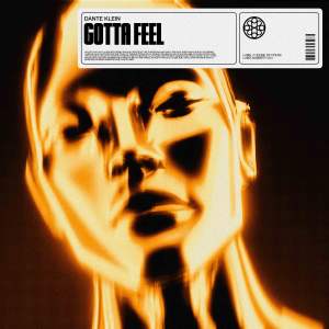 Dante Klein的專輯Gotta Feel