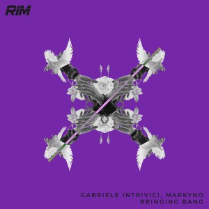收听Gabriele Intrivici的Bringing Bang (Radio Edit)歌词歌曲