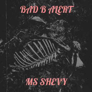 收听Ms Shevy的Bad B Alert (Explicit)歌词歌曲