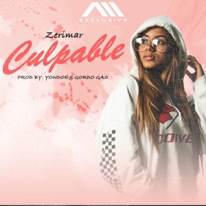 Album Culpable oleh Zerimar