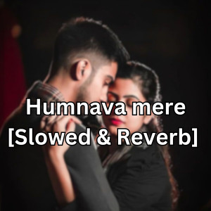 ดาวน์โหลดและฟังเพลง Humnava mere [Slowed & Reverb] พร้อมเนื้อเพลงจาก Koushik Mahata
