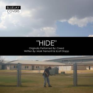 Bluejay的專輯Hide
