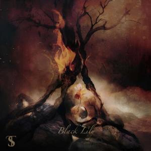 Listen to Black Lily song with lyrics from Sotory