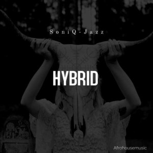 ดาวน์โหลดและฟังเพลง Hybrid พร้อมเนื้อเพลงจาก SoniQ-Jazz