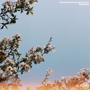 Listen to Ephemeral song with lyrics from Ricardo Schneider