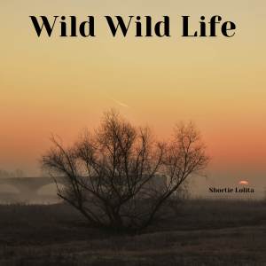 ดาวน์โหลดและฟังเพลง Wild Wild Life พร้อมเนื้อเพลงจาก Shortie Lolita