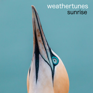 ดาวน์โหลดและฟังเพลง Rise and Shine พร้อมเนื้อเพลงจาก Weathertunes