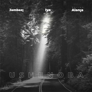 Album Ushenoba from 