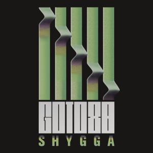 Goto80的專輯S H Y G G A