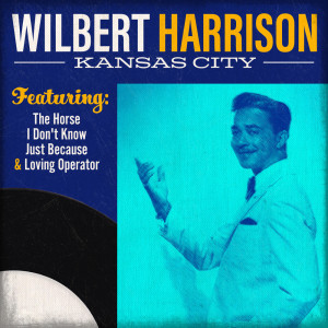 ดาวน์โหลดและฟังเพลง I Really Love You พร้อมเนื้อเพลงจาก Wilbert Harrison