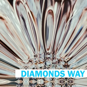 Album Diamonds Way from DJ Freccia