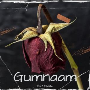 Rey Music的專輯Gumnaam