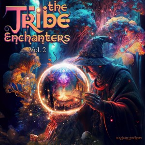 Various Artists的專輯The Tribe Enchanters, Vol. 02