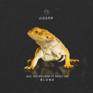 Listen to Blond song with lyrics from Ale Molinari