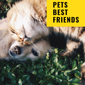收聽Cat Music的Good Pets歌詞歌曲