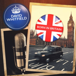 ดาวน์โหลดและฟังเพลง I'd Give You The World พร้อมเนื้อเพลงจาก DAVID WHITFIELD