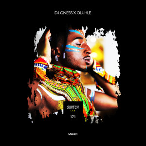 DJ Qness的专辑Mwari