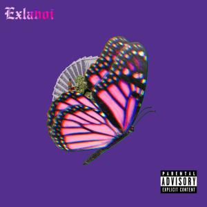 A的专辑Papillon (Explicit)