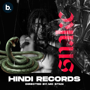 Album Snake from MC STAN
