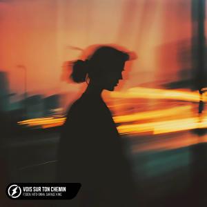 Album Vois Sur Ton Chemin from F3DEN