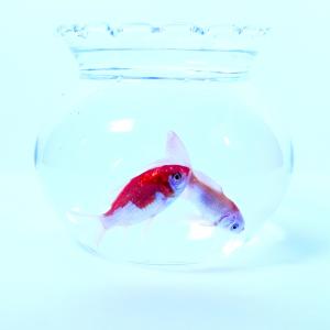 收聽Car, the garden的6 to 9 (Feat. Loco)歌詞歌曲