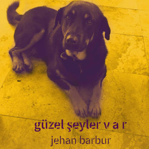 Jehan Barbur的專輯Güzel Şeyler Var