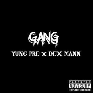 Listen to Gang (Explicit) song with lyrics from Yung Pre