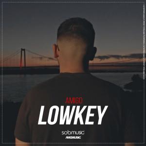Listen to Lowkey (Explicit) song with lyrics from Amigo