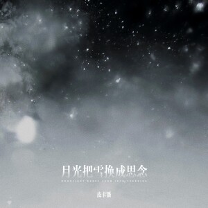 Album 月光把雪烧成思念 from 潘成