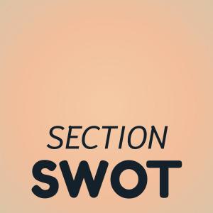 Dengarkan Section Swot lagu dari Boim Keiner dengan lirik