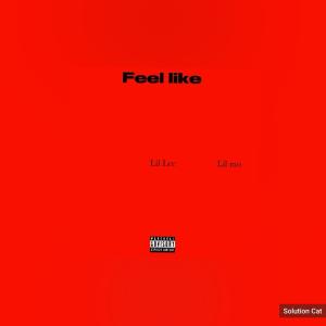 Lil Lee的專輯Feel like (feat. Lil mo) [Explicit]