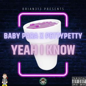 Brian313的專輯Yeah I Know (Explicit)