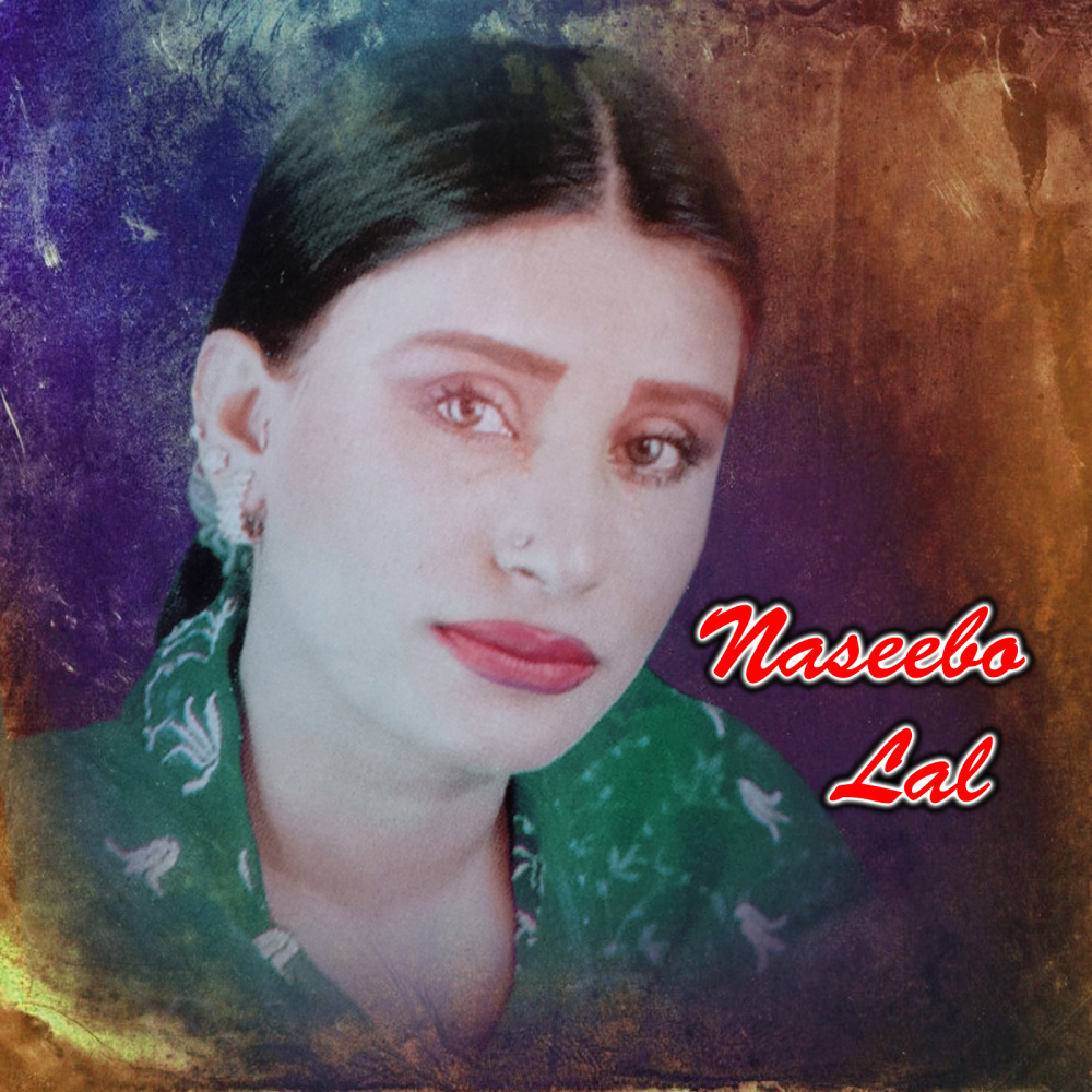 Toon Ae Sohna Chan Nalo