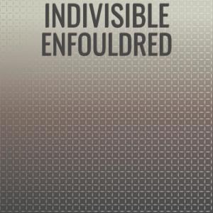 Various Artists的專輯Indivisible Enfouldred