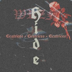 ดาวน์โหลดและฟังเพลง Cicatrices พร้อมเนื้อเพลงจาก Hide luv