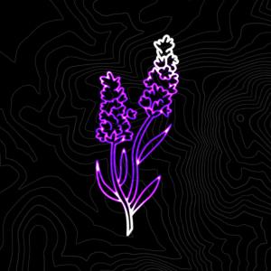 收聽WINTER的Circa 2000歌詞歌曲