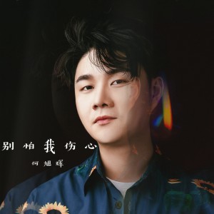 Listen to 别怕我伤心 (沧桑版) song with lyrics from 禾旭徽