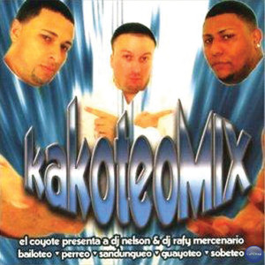 ดาวน์โหลดและฟังเพลง Perreo Perreo 2003 (Remix) พร้อมเนื้อเพลงจาก DJ Nelson