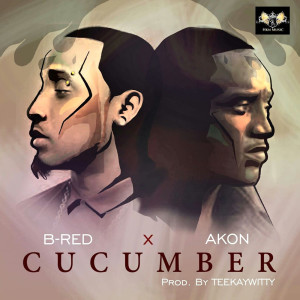 Akon的专辑Cucumber