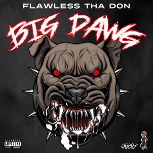 Mr. Mario的專輯Big Dawg (Explicit)
