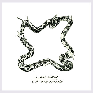 收聽Cf Watkins的Wrangler歌詞歌曲