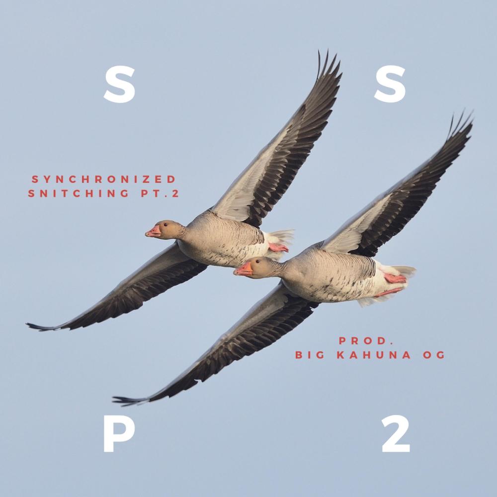 Synchronized Snitching Pt. 2 (Explicit)