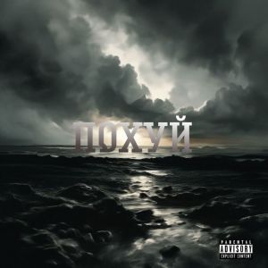 Album ПОХУЙ (Explicit) from Vreydxx