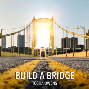Album Build a Bridge from Tosha Owens