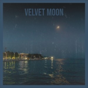 Album Velvet Moon oleh Various Artist