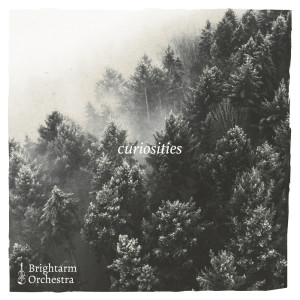 Album Curiosities from Brightarm Orchestra