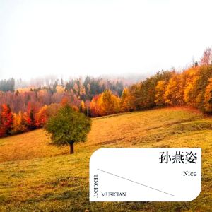 อัลบัม 孙燕姿 ศิลปิน Nice