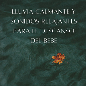 Album Ritmos De Gotas De Lluvia: Lluvia Calmante Y Sonidos Relajantes Para El Descanso Del Bebé from Ruido Para Bebé