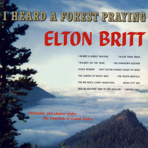ดาวน์โหลดและฟังเพลง The White Buffalo พร้อมเนื้อเพลงจาก Elton Britt